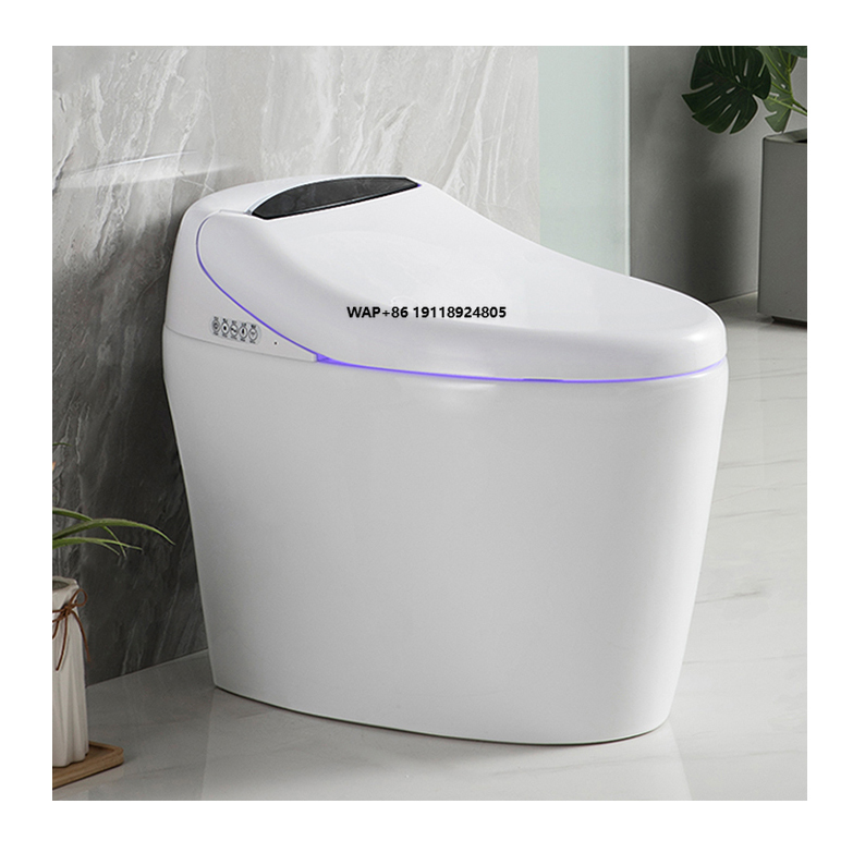 Home Bathroom Ware - 고급 자동 플러시 위생도기 자동 변기