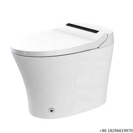 Home Bathroom Ware - 간편 설치 전기 비데 스마트 시트