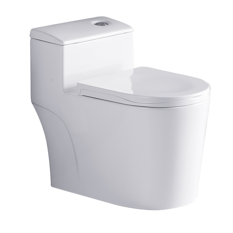 세라믹 변기, 냄새방지 대구경 사이펀식 화장실 변기,  - Home Bathroom Ware 리뷰 및 가격