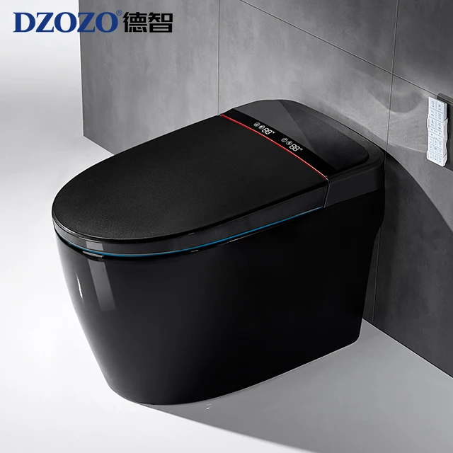 110V 모던 홈 호텔 위생도기 전자식 변기 스마트 변 - Home Bathroom Ware 리뷰 및 가격