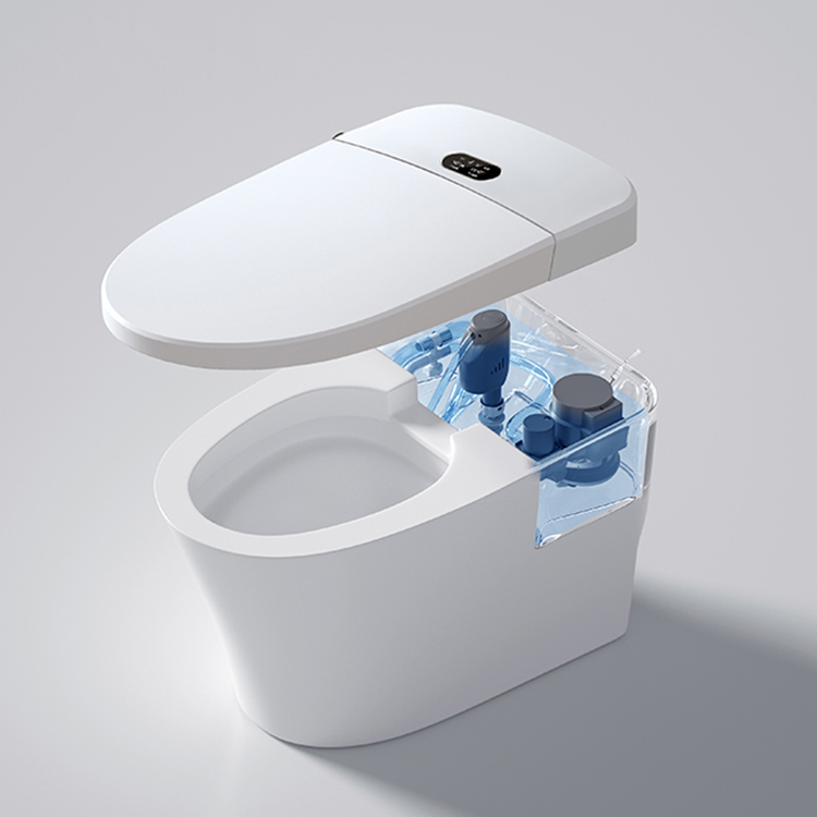 현대식 스마트 변기 디지털 디스플레이 절수형 세라믹 W - Home Bathroom Ware 리뷰 및 가격