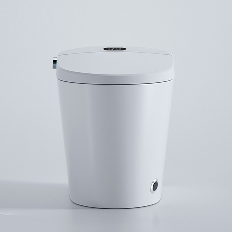 현대식 스마트 변기 디지털 디스플레이 절수형 세라믹 W - Home Bathroom Ware 리뷰 및 가격