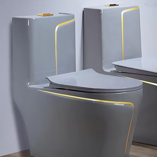 그레이 세라믹 일체형 비데 변기, S-트랩 디자인, 내 - Home Bathroom Ware 리뷰 및 가격