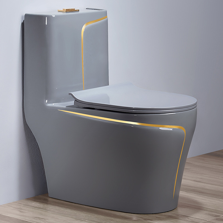 그레이 세라믹 일체형 비데 변기, S-트랩 디자인, 내 - Home Bathroom Ware 리뷰 및 가격