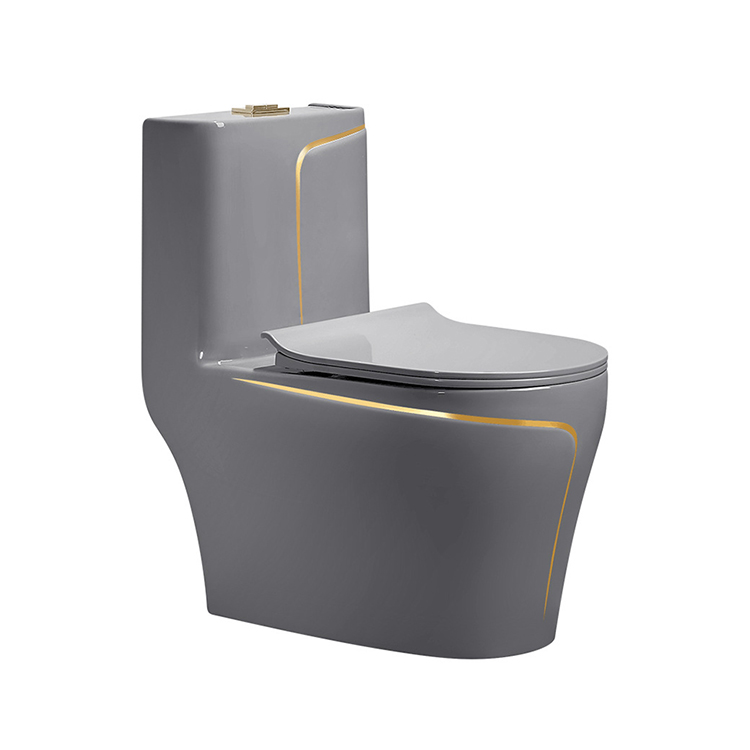 그레이 세라믹 일체형 비데 변기, S-트랩 디자인, 내 - Home Bathroom Ware 리뷰 및 가격