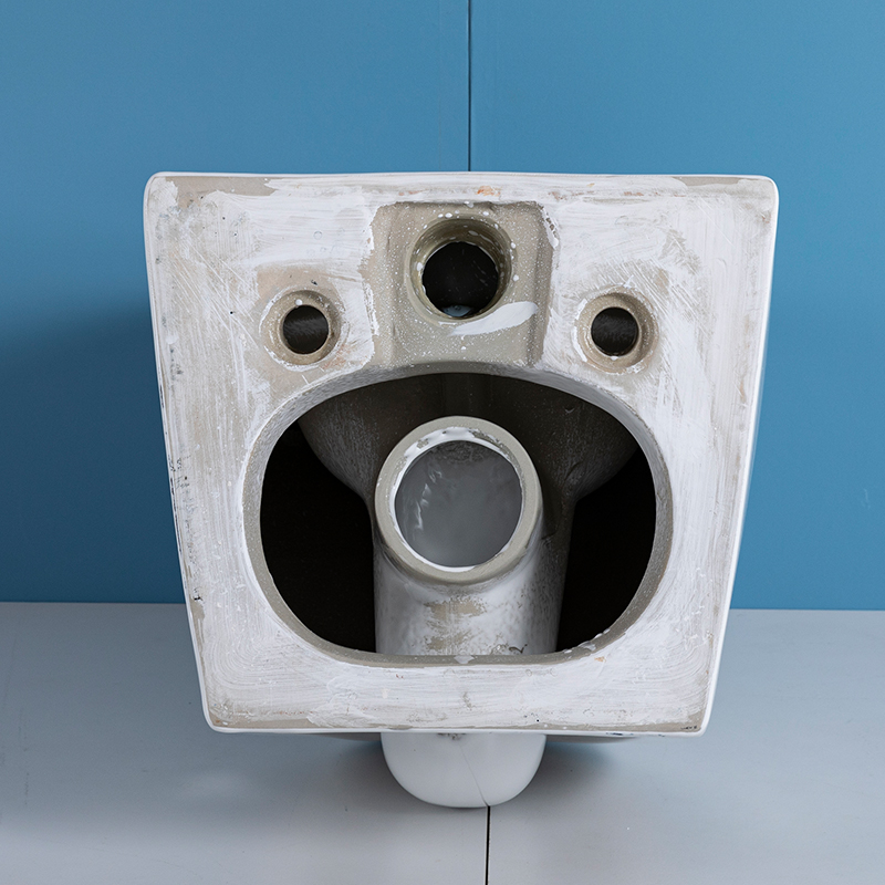 HM-207 OEM/ODM 벽걸이형 변기, 현대식 욕실 - Home Bathroom Ware 리뷰 및 가격