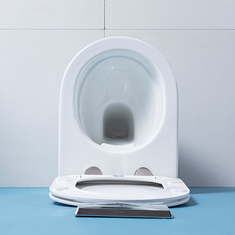 HM-207 OEM/ODM 벽걸이형 변기, 현대식 욕실 - Home Bathroom Ware 리뷰 및 가격