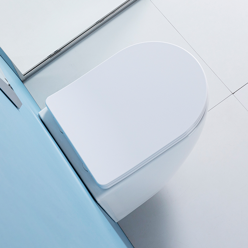 HM-207 OEM/ODM 벽걸이형 변기, 현대식 욕실 - Home Bathroom Ware 리뷰 및 가격