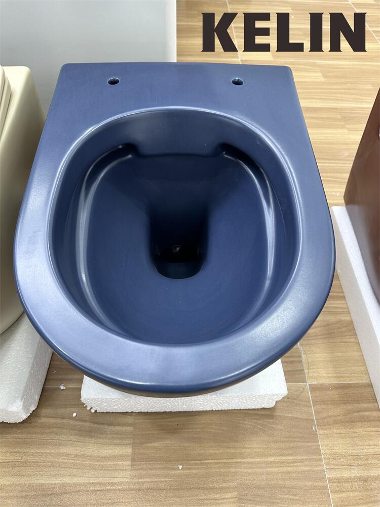 켈린 뉴 모던 스타일 워시다운 매립형 물탱크 살구색 세 - Home In Bathroom 리뷰 및 가격