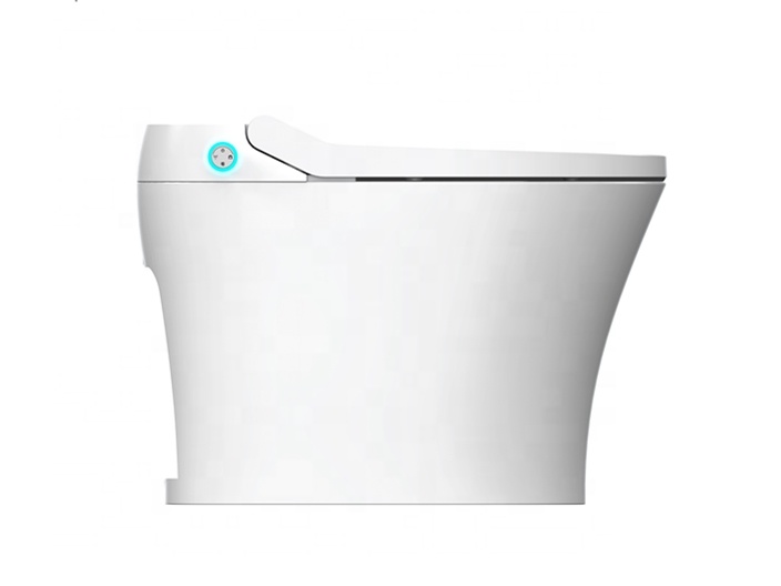 간편 설치 전기 비데 스마트 시트 커버 지능형 온열 변 - Home Bathroom Ware 리뷰 및 가격