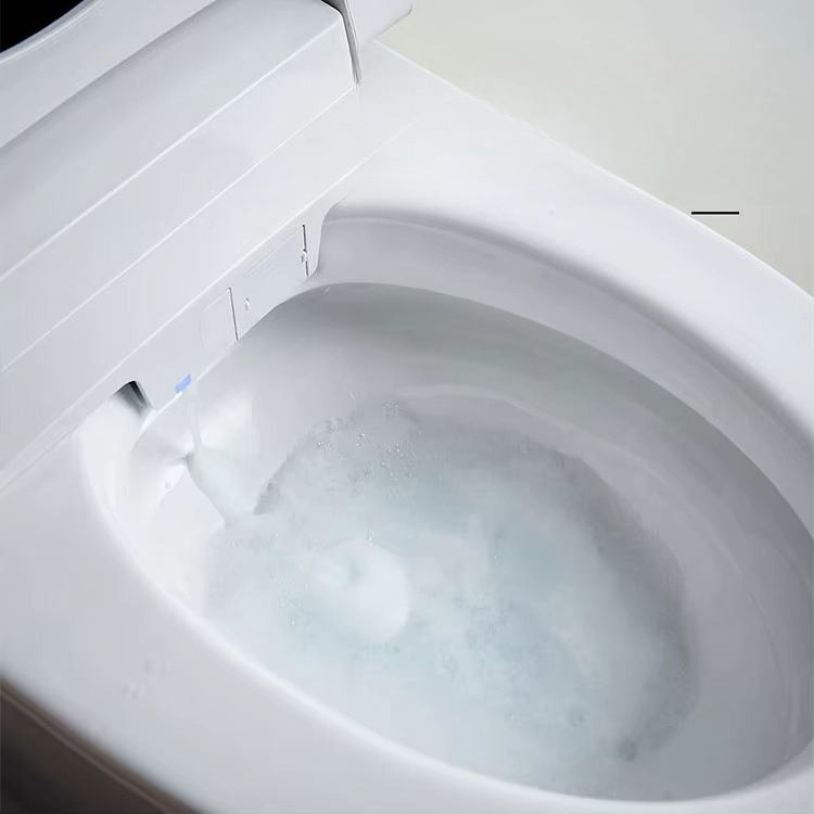 최고급 롱형 가정용 호텔 레스토랑 워터마크 사이펀식 W - Home Bathroom Ware 리뷰 및 가격